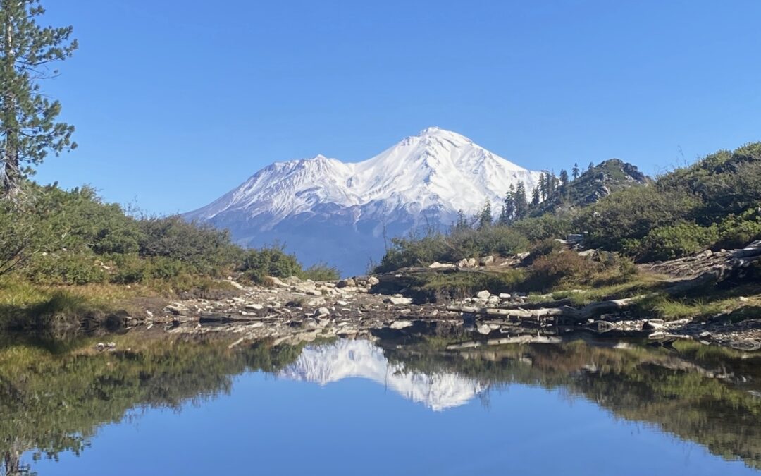 Letting Go, We Carry Goodness with Us