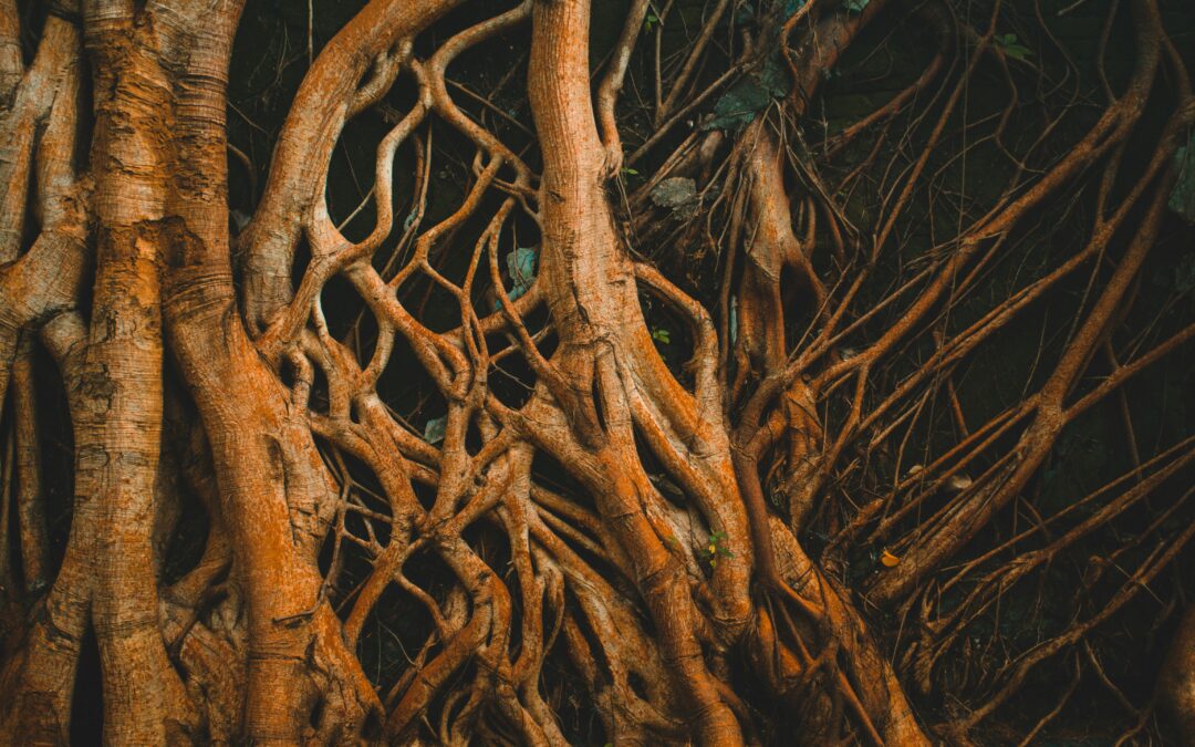 Good News is Grounded in Mercy, Justice, and Faithfulness