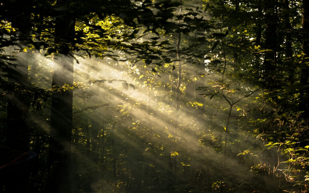 Tell Me Something Good