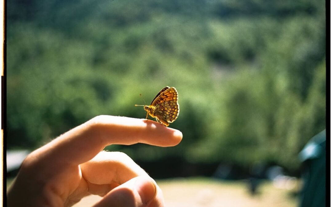 In Gentleness, We Grow